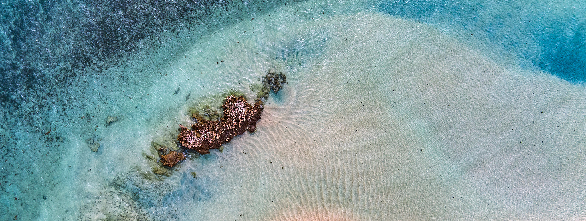 Coral Coast Roadtrip Collection