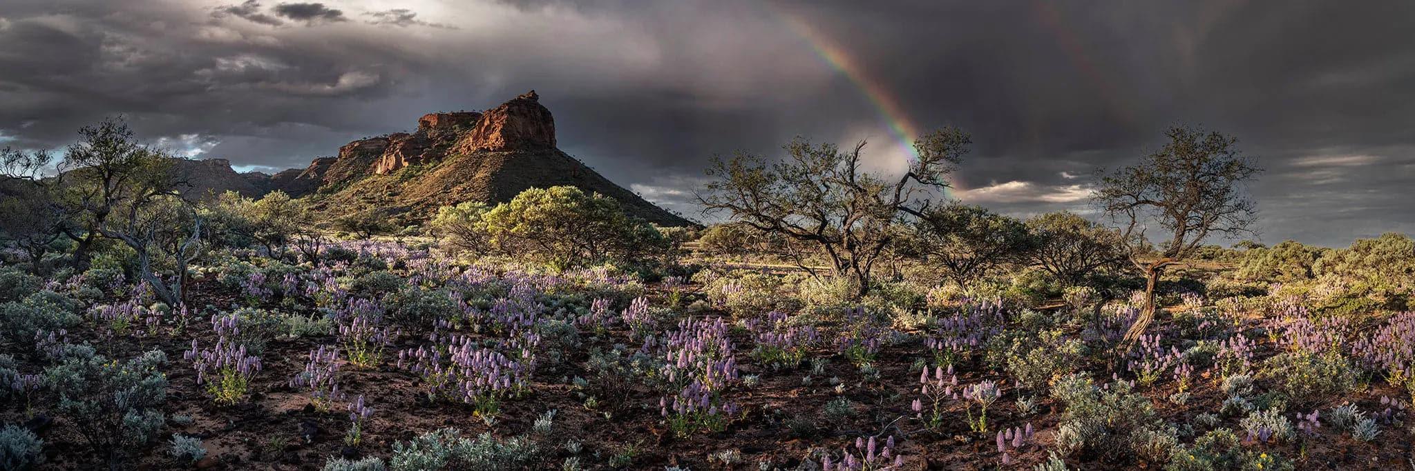 Kennedy Rainbow | kennedy-rainbow | Posters, Prints, & Visual Artwork | Inspiral Photography