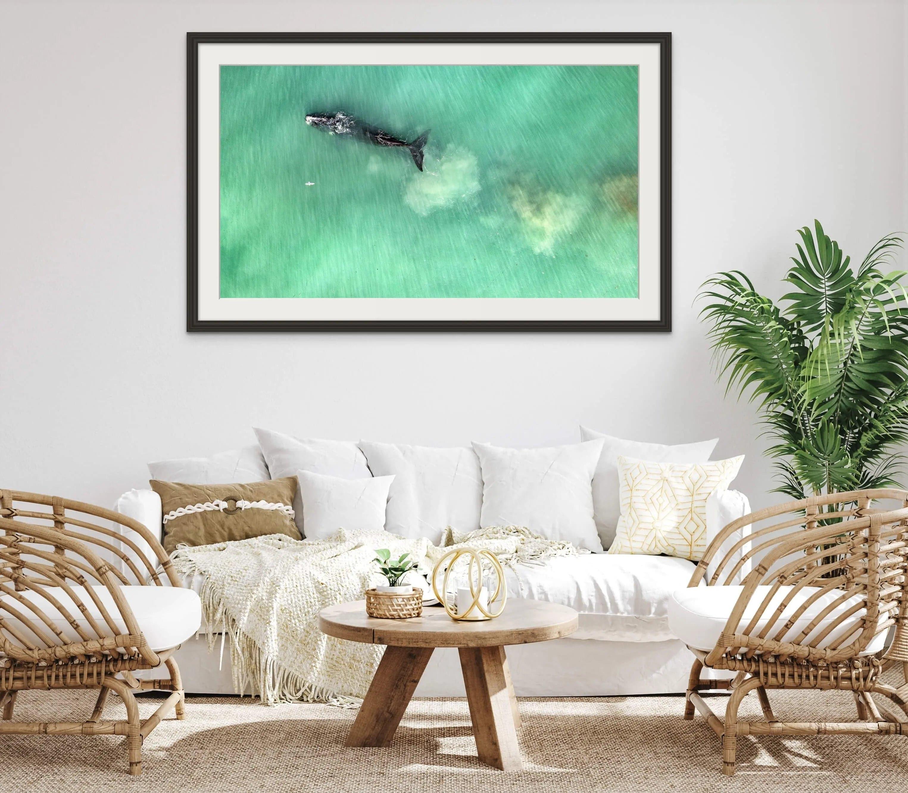 Whale and bird | whale-and-bird | Posters, Prints, & Visual Artwork | Inspiral Photography