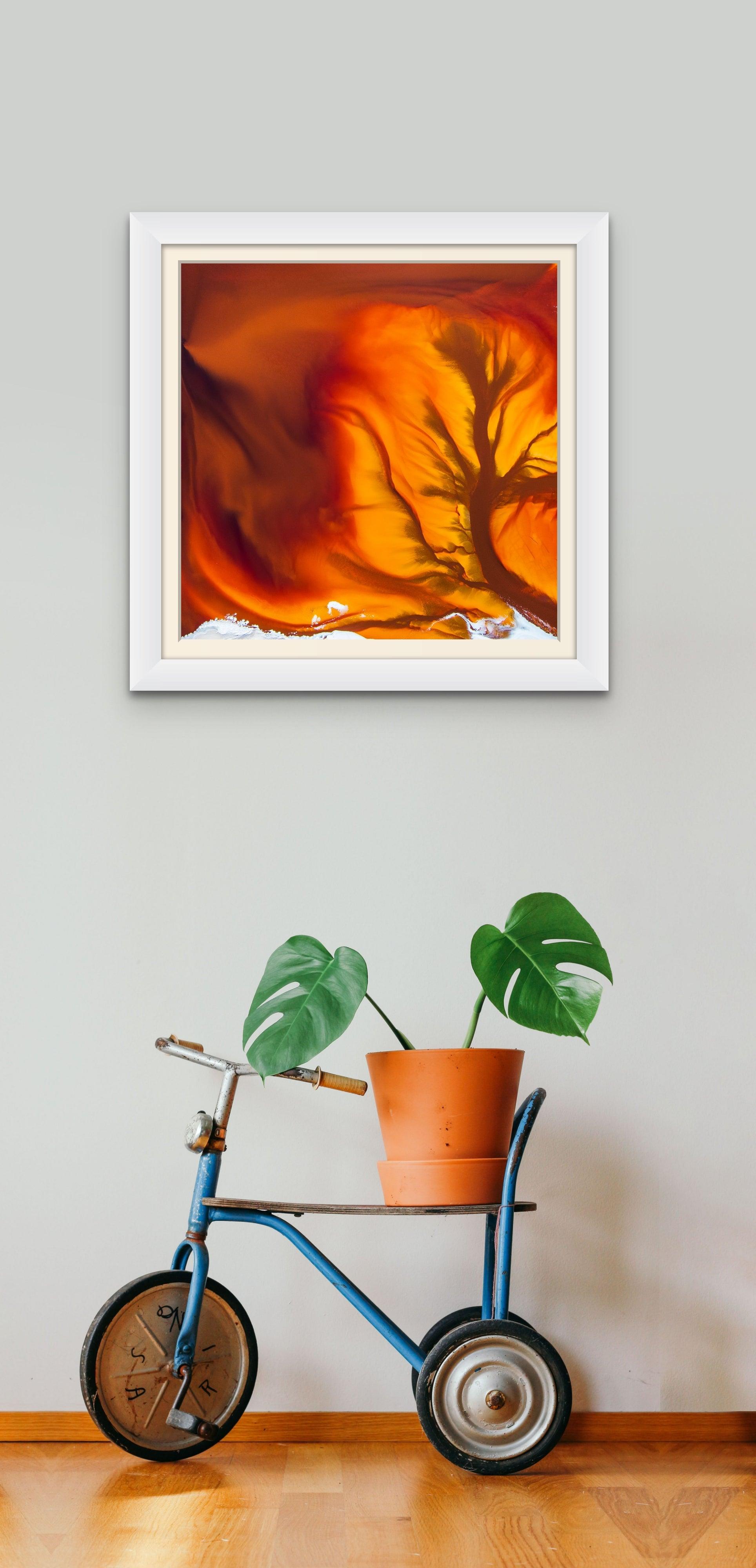 Ankatel Reds - Inspiral Photography