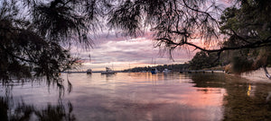 Bicton Overhang Nikon Stitch