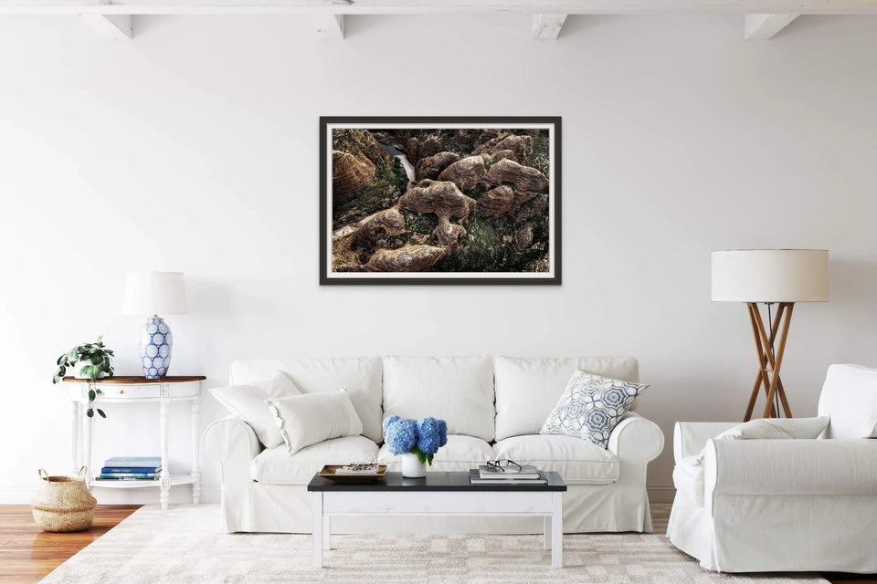 Beehive Curves | beehive-curves | Posters, Prints, & Visual Artwork | Inspiral Photography