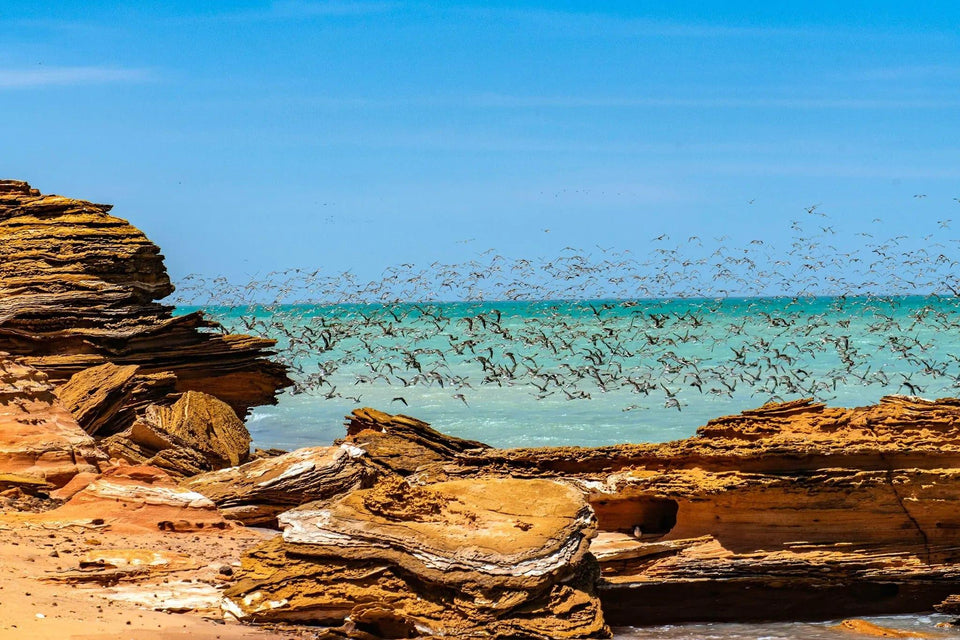 Birds of a feather | birds-of-a-feather | Posters, Prints, & Visual Artwork | Inspiral Photography