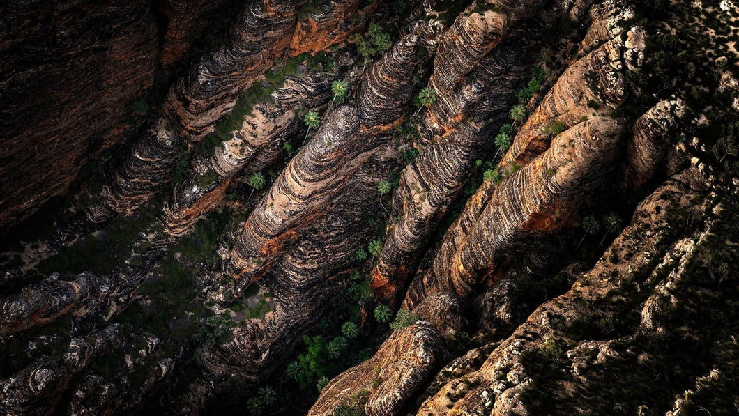 Bungles Apply | bungles-apply | Posters, Prints, & Visual Artwork | Inspiral Photography