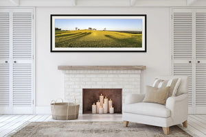 Canola Leading Lines | canola-leading-lines | Posters, Prints, & Visual Artwork | Inspiral Photography