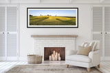 Canola Leading Lines | canola-leading-lines | Posters, Prints, & Visual Artwork | Inspiral Photography