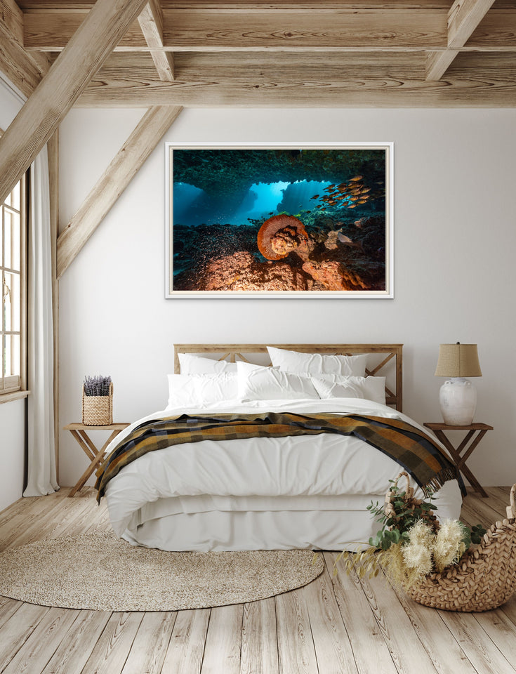 Coral Crystal Cove