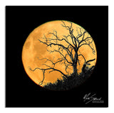 Craggy Tree Full Moon | craggy-tree-full-moon | Posters, Prints, & Visual Artwork | Inspiral Photography