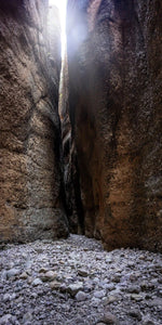 Echidna Backlit | echidna-backlit | Posters, Prints, & Visual Artwork | Inspiral Photography