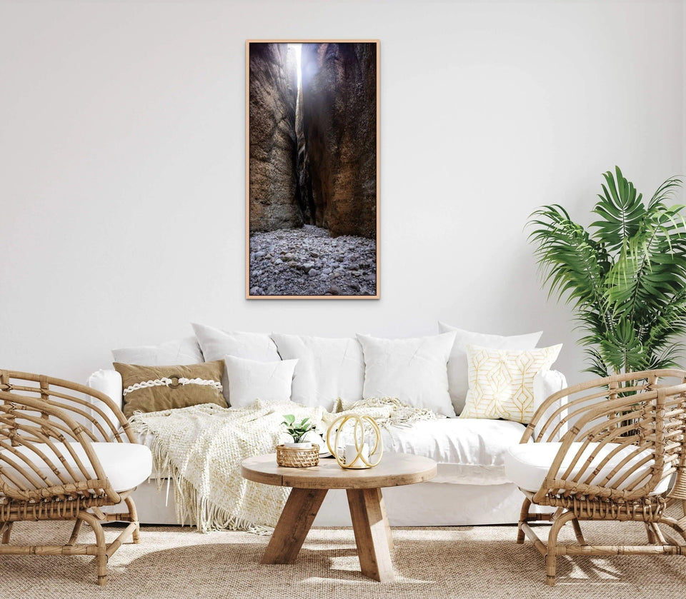 Echidna Backlit | echidna-backlit | Posters, Prints, & Visual Artwork | Inspiral Photography