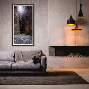Echidna Backlit | echidna-backlit | Posters, Prints, & Visual Artwork | Inspiral Photography