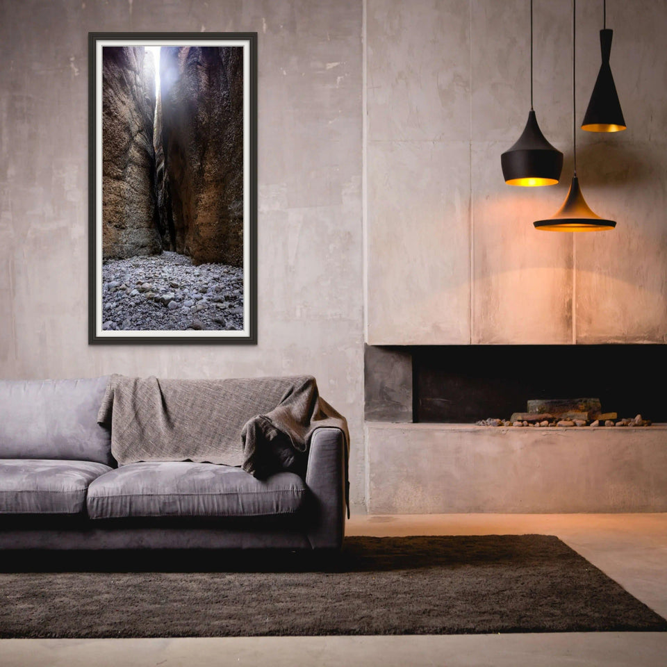 Echidna Backlit | echidna-backlit | Posters, Prints, & Visual Artwork | Inspiral Photography