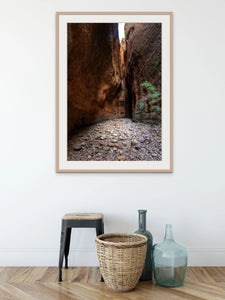 Echidna Entrance | product-1 | Posters, Prints, & Visual Artwork | Inspiral Photography