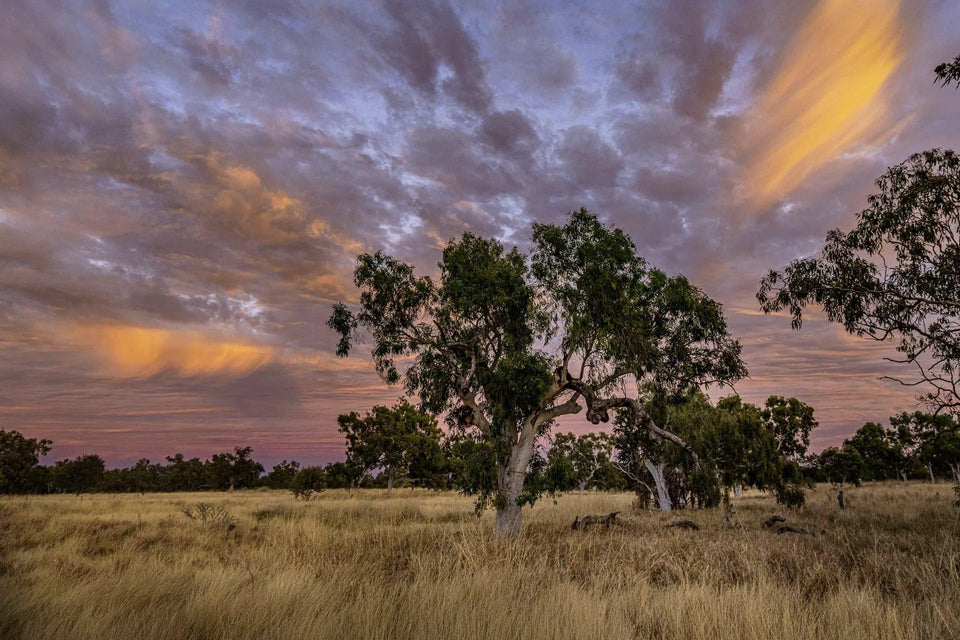Epic Sunrise | epic-sunrise-1 | Posters, Prints, & Visual Artwork | Inspiral Photography