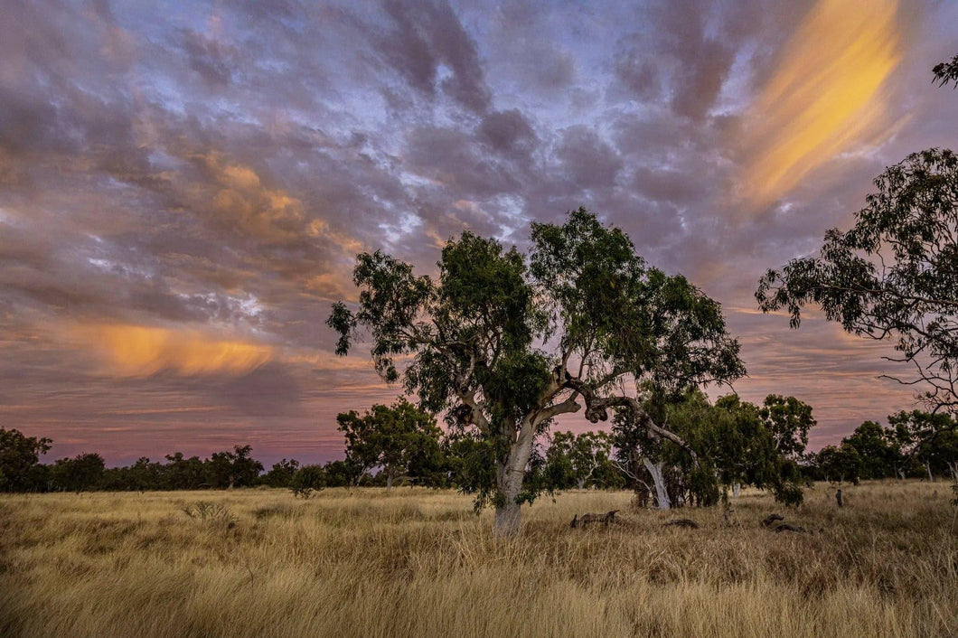 Epic Sunrise | epic-sunrise-1 | Posters, Prints, & Visual Artwork | Inspiral Photography