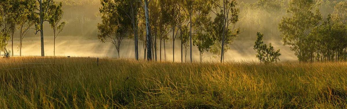 Golden Light | golden-light | Posters, Prints, & Visual Artwork | Inspiral Photography
