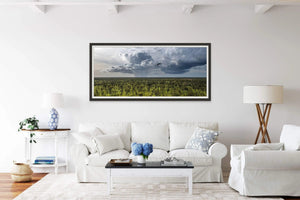 Hawkeye | hawkeye | Posters, Prints, & Visual Artwork | Inspiral Photography
