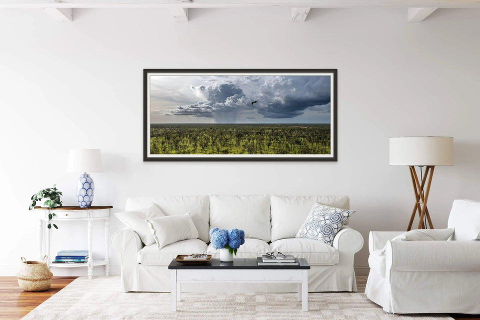 Hawkeye | hawkeye | Posters, Prints, & Visual Artwork | Inspiral Photography