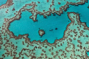 Heart Reef | heart-reef | Posters, Prints, & Visual Artwork | Inspiral Photography