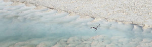 Jabaroo Blue Wash | jabaroo-blue-wash | Posters, Prints, & Visual Artwork | Inspiral Photography