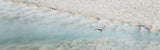 Jabaroo Blue Wash | jabaroo-blue-wash | Posters, Prints, & Visual Artwork | Inspiral Photography