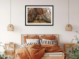 Lava Tubes Epic | lava-tubes-epic | Posters, Prints, & Visual Artwork | Inspiral Photography