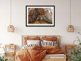 Lava Tubes Epic | lava-tubes-epic | Posters, Prints, & Visual Artwork | Inspiral Photography