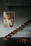 Lefroy Shadows | lefroy-shadows | Posters, Prints, & Visual Artwork | Inspiral Photography