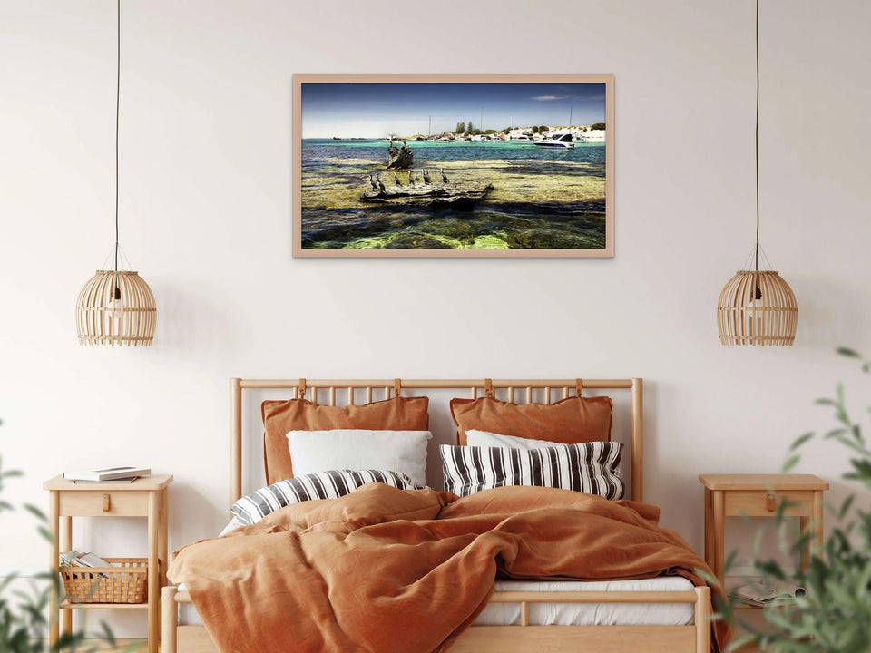 Longreach Shags | longreach-shags | Posters, Prints, & Visual Artwork | Inspiral Photography