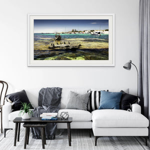 Longreach Shags | longreach-shags | Posters, Prints, & Visual Artwork | Inspiral Photography