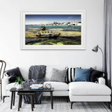 Longreach Shags | longreach-shags | Posters, Prints, & Visual Artwork | Inspiral Photography