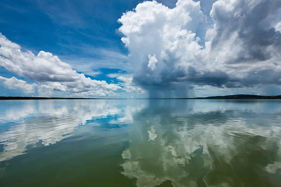 Mitchel Cloud Florets | mitchel-cloud-florets | Posters, Prints, & Visual Artwork | Inspiral Photography