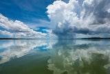Mitchel Cloud Florets | mitchel-cloud-florets | Posters, Prints, & Visual Artwork | Inspiral Photography