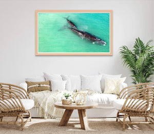 Mum and Bub Whale | mum-and-bub-whale | Posters, Prints, & Visual Artwork | Inspiral Photography