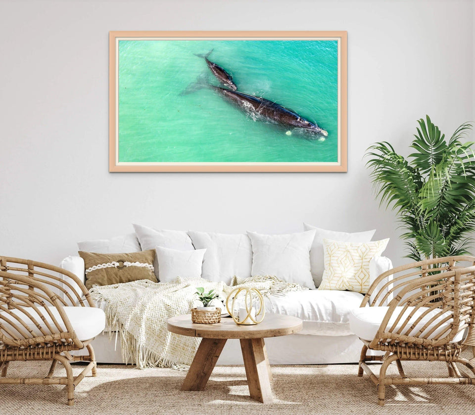Mum and Bub Whale | mum-and-bub-whale | Posters, Prints, & Visual Artwork | Inspiral Photography