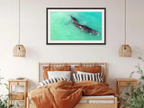 Mum and Bub Whale | mum-and-bub-whale | Posters, Prints, & Visual Artwork | Inspiral Photography