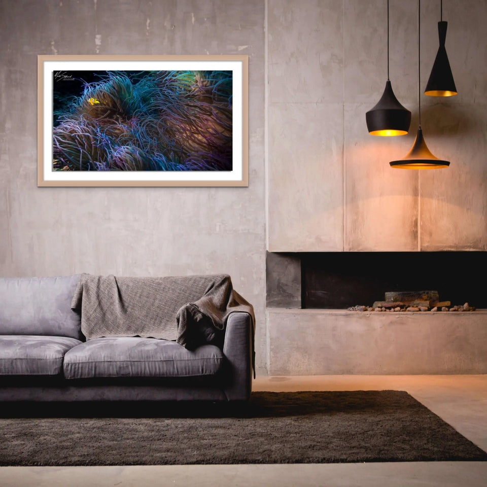 Nemo Purple Gold | nemo-purple-gold | Posters, Prints, & Visual Artwork | Inspiral Photography