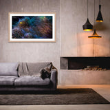 Nemo Purple Gold | nemo-purple-gold | Posters, Prints, & Visual Artwork | Inspiral Photography