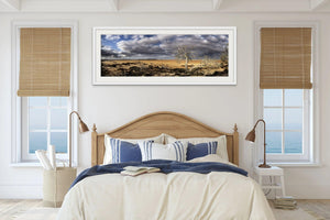 Paynes Find Gold | paynes-find-gold-1 | Posters, Prints, & Visual Artwork | Inspiral Photography