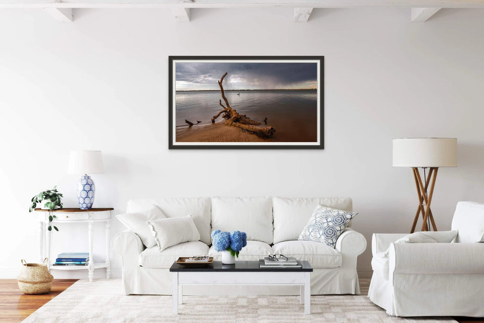 Pelican Log | pelican-log | Posters, Prints, & Visual Artwork | Inspiral Photography