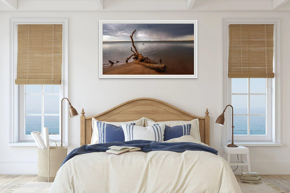 Pelican Log | pelican-log | Posters, Prints, & Visual Artwork | Inspiral Photography