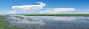 Robuck Plains Stitch | copy-of-ganthean-ss-12mm | Posters, Prints, & Visual Artwork | Inspiral Photography