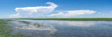 Robuck Plains Stitch | copy-of-ganthean-ss-12mm | Posters, Prints, & Visual Artwork | Inspiral Photography