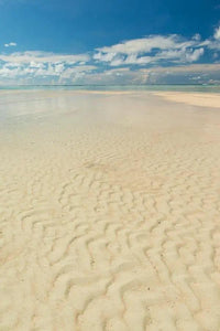 Sand Lines | copy-of-balloons-copy | Posters, Prints, & Visual Artwork | Inspiral Photography