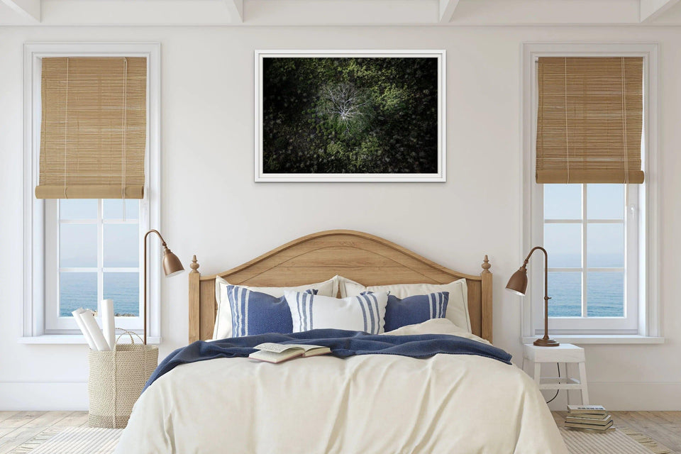 Tree Abstract | tree-abstract | Posters, Prints, & Visual Artwork | Inspiral Photography