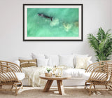 Whale and bird | whale-and-bird | Posters, Prints, & Visual Artwork | Inspiral Photography