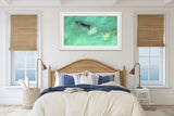Whale and bird | whale-and-bird | Posters, Prints, & Visual Artwork | Inspiral Photography
