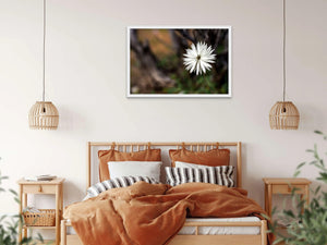White Perfection | white-perfection | Posters, Prints, & Visual Artwork | Inspiral Photography