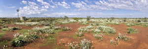 Wild Whites & Windmill | wild-windmill | Posters, Prints, & Visual Artwork | Inspiral Photography