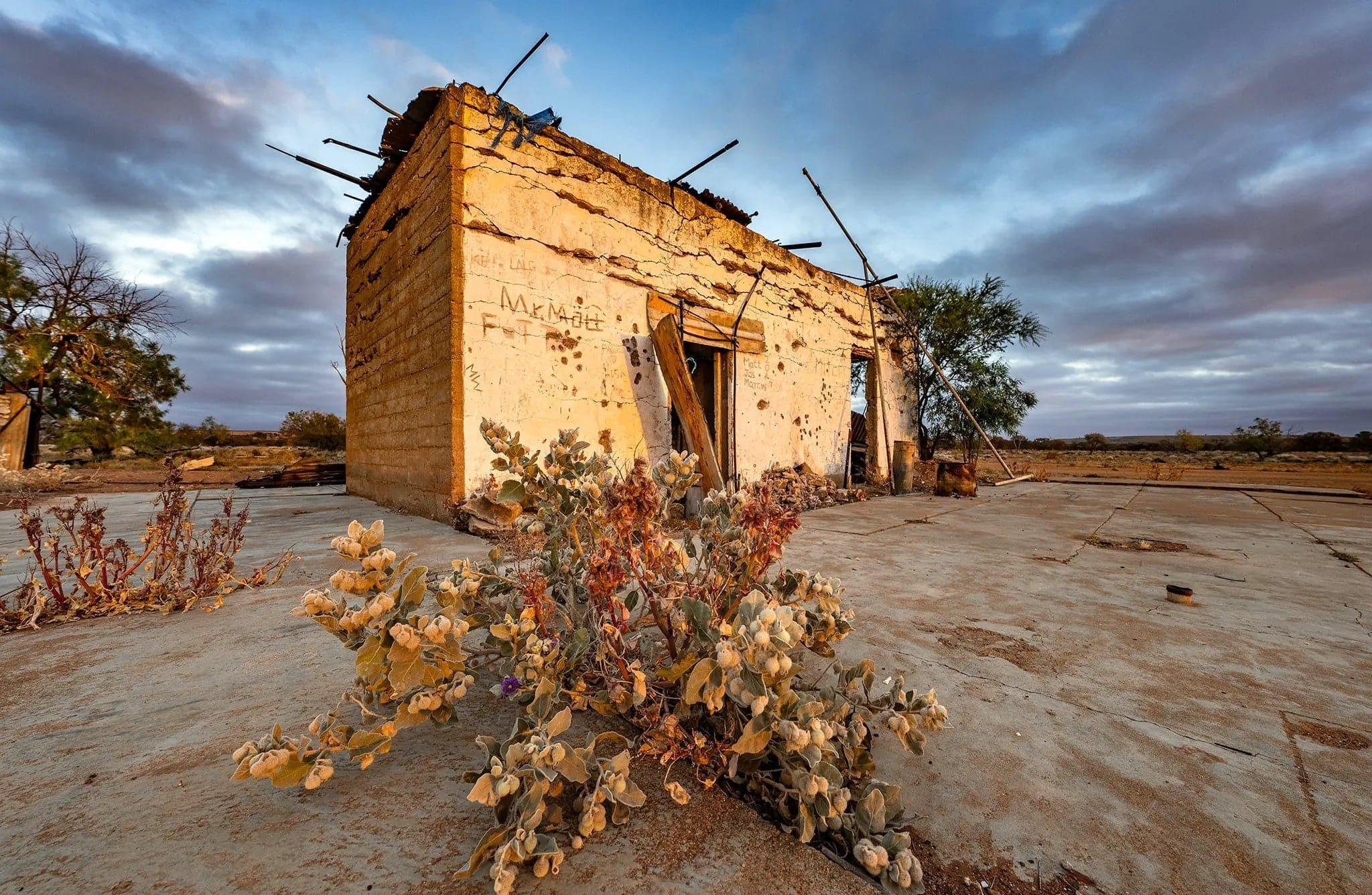 Wildflower Ruins | wildflower-ruins | Posters, Prints, & Visual Artwork | Inspiral Photography